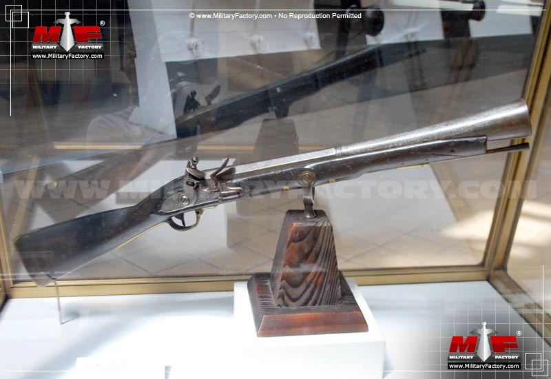 Image of the Blunderbuss