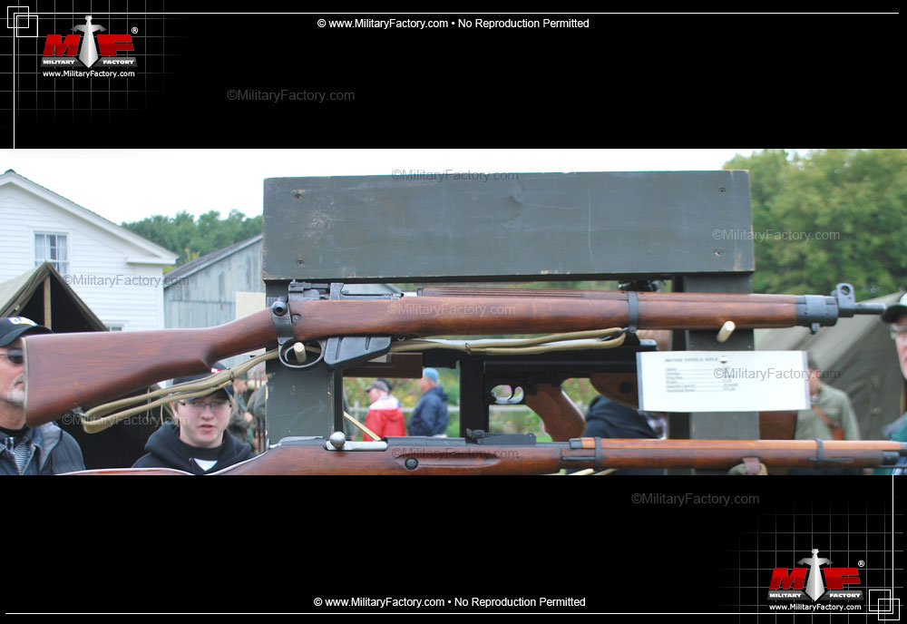 Image of the Lee-Enfield (Series)