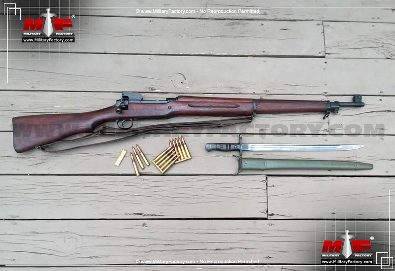 Image of the M1917 Enfield (American Enfield)
