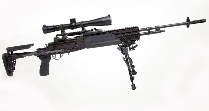 Image of the Mk 14 Mod 0 EBR (Enhanced Battle Rifle)