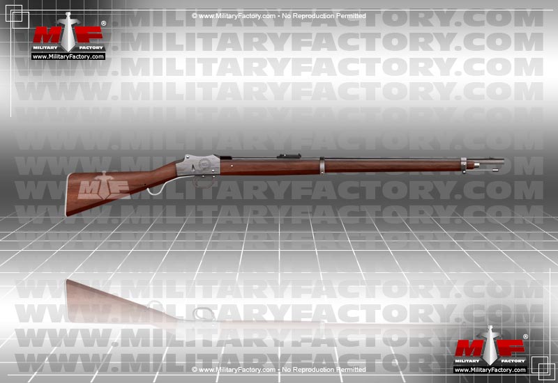 Image of the Martini-Henry Rifle