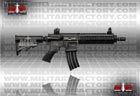 Picture of the Heckler & Koch HK 416