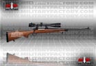 Picture of the Remington Model 700